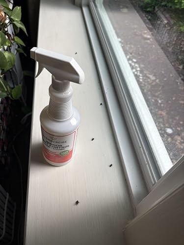 Review Image by Weester