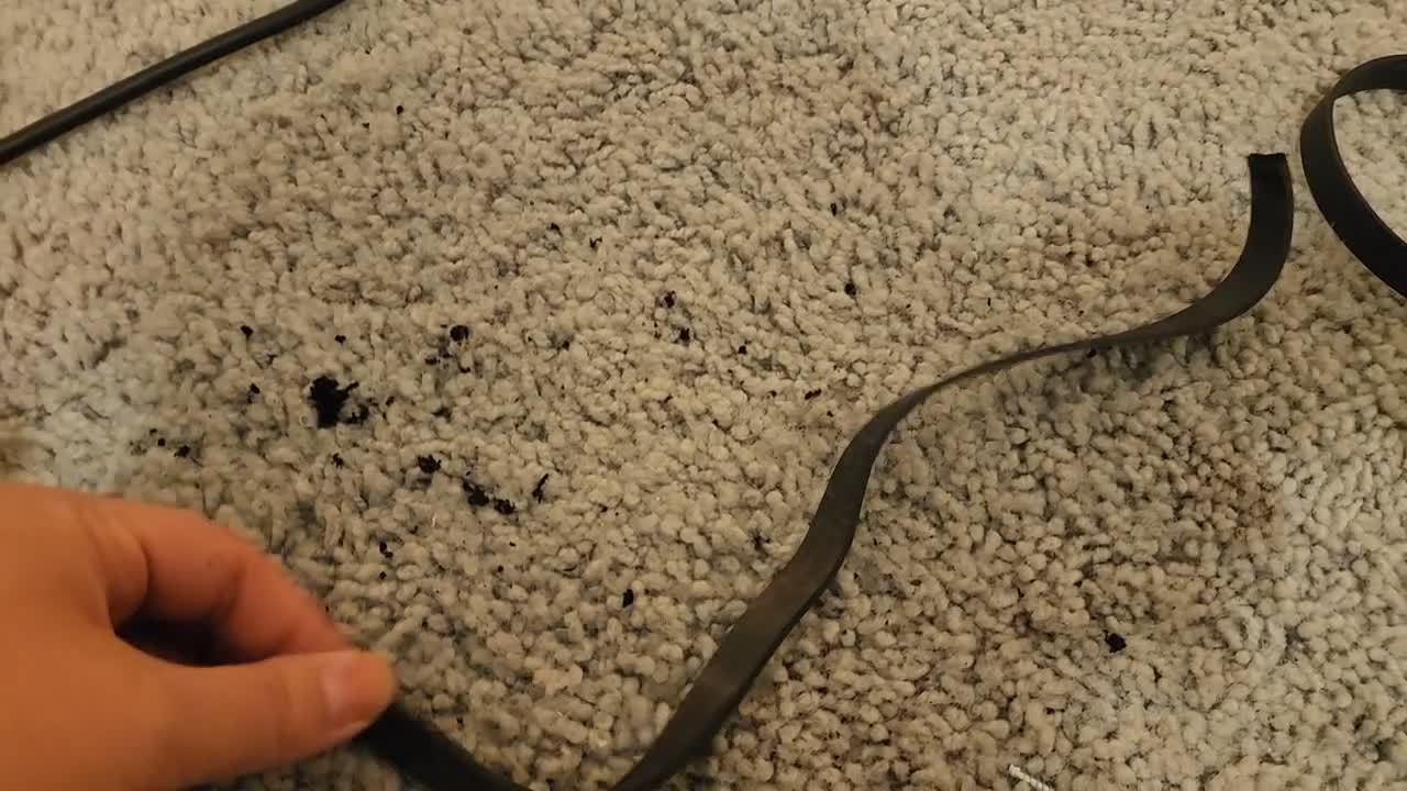 A broken vacuum cleaner belt on a carpeted floor.