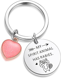 ZNOSVEI Spirit Animal Gift Cute Keychain Raccoon Mom Gift Best Friend Jewelry For Girl Raccoon Keychain Trash Panda Keychain Raccoon Lover Keychain Raccoon Tail Gift Raccoon Owner Jewelry Spirit Animal Keychain