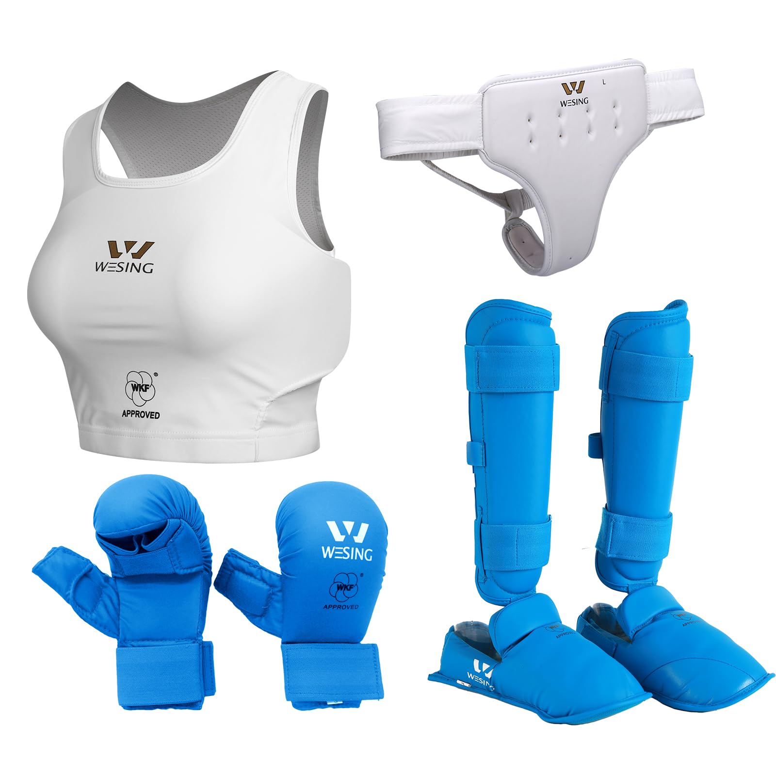 Wesing Karate Protective Gears Set for Women with Chest Protector Gloves Groin Guard Instep Shin Protection (Blue, L)