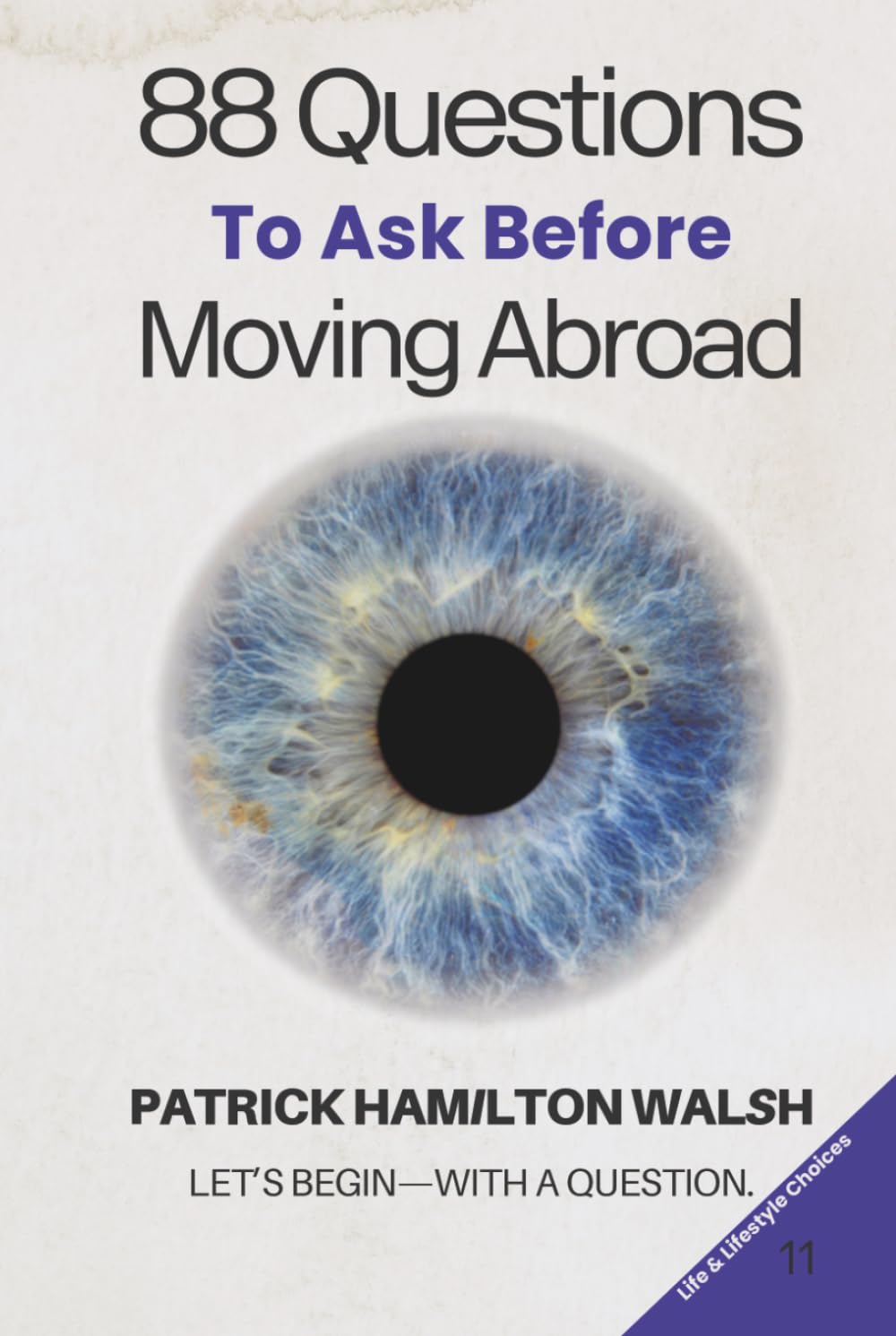88 Questions to Ask Before Moving Abroad: Book 11 of 88