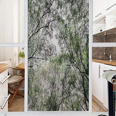 Decorative Window Film,No Glue Frosted Privacy Film,Stained Glass Door Film,Tree Branch in Spring Season Fairy Jungle Growth Nature Look Up Wood Scene,for Home & Office,23.6In. by 59In Green Cover