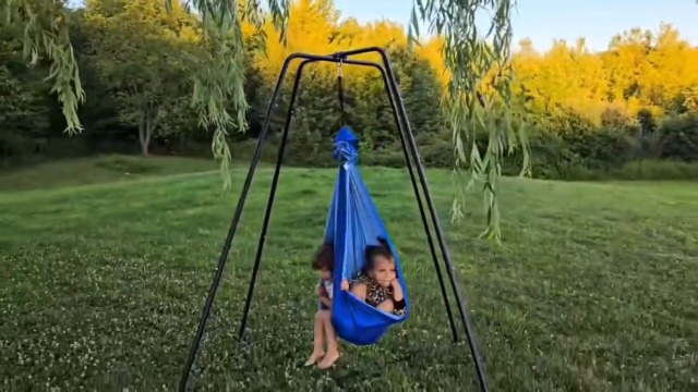 Amazon.com: Swing Stand Frame with Sensory Pod Swings and Chair