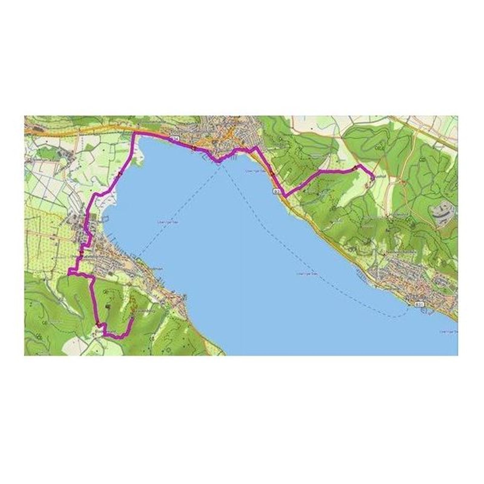 Garmin TOPO Germany v9 PRO Carte de randonnée vélo, géocaching, ski, randonnée Allemagne