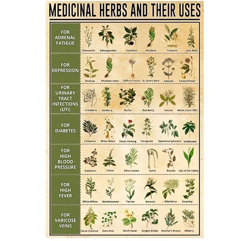 Garden Medicinal Herbs and Their Uses Poster Metal Tin Sign Vintage Decoration Garage Home Garden Cafes Kitchen Wall Antique Tin Signs 6x8 Inch