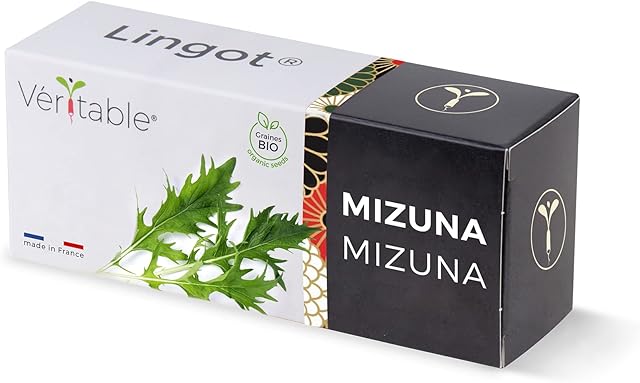 Véritable Lingot (warzywa liściaste, mizuna)