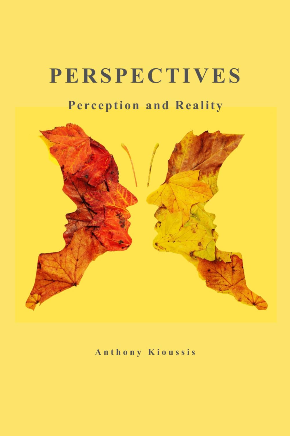 Perspectives: Perception and Reality