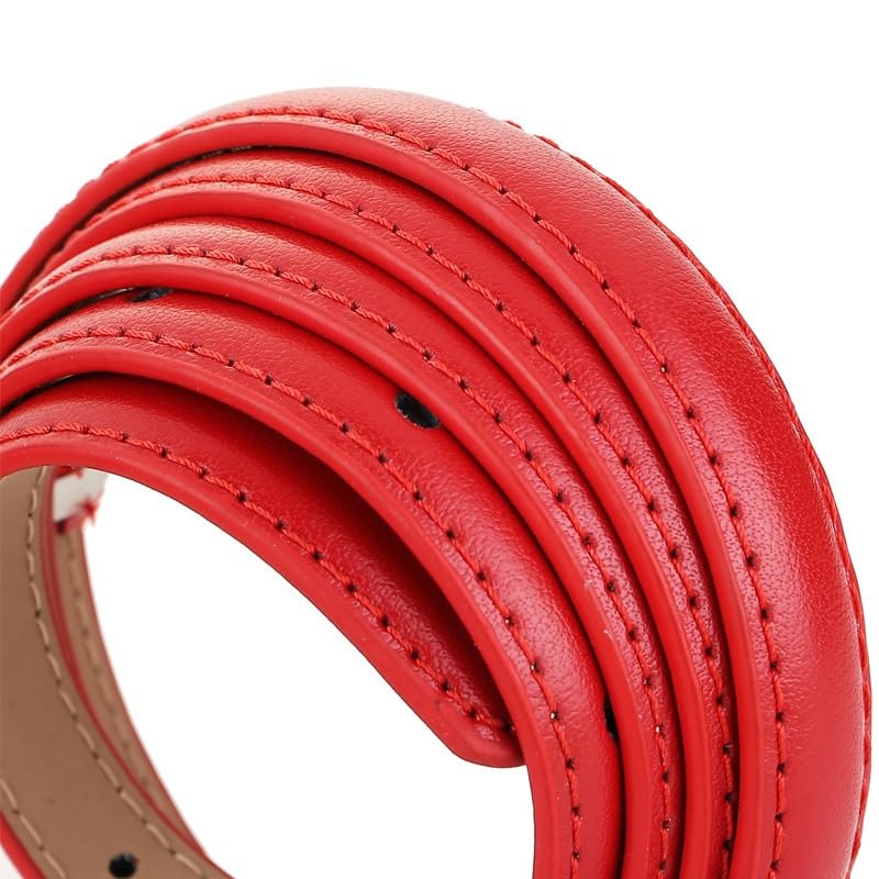 Waistband Women's Cowhide Decoration With Skirt Suit Shirt Waistband Needle Buckle Jeans Small Belt2