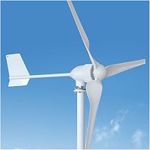 1KW 2KW 3KW 5KW Energy Horizontal Wind Turbine Generator High Efficient Home Use And Project Wide ApplicationsWind Turbine Only,1000W
