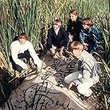 Children of the Mushroom