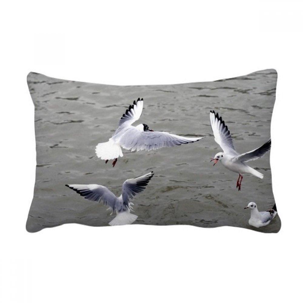 Oreiller lombaire oiseau marin multicolore pour canapé cosy