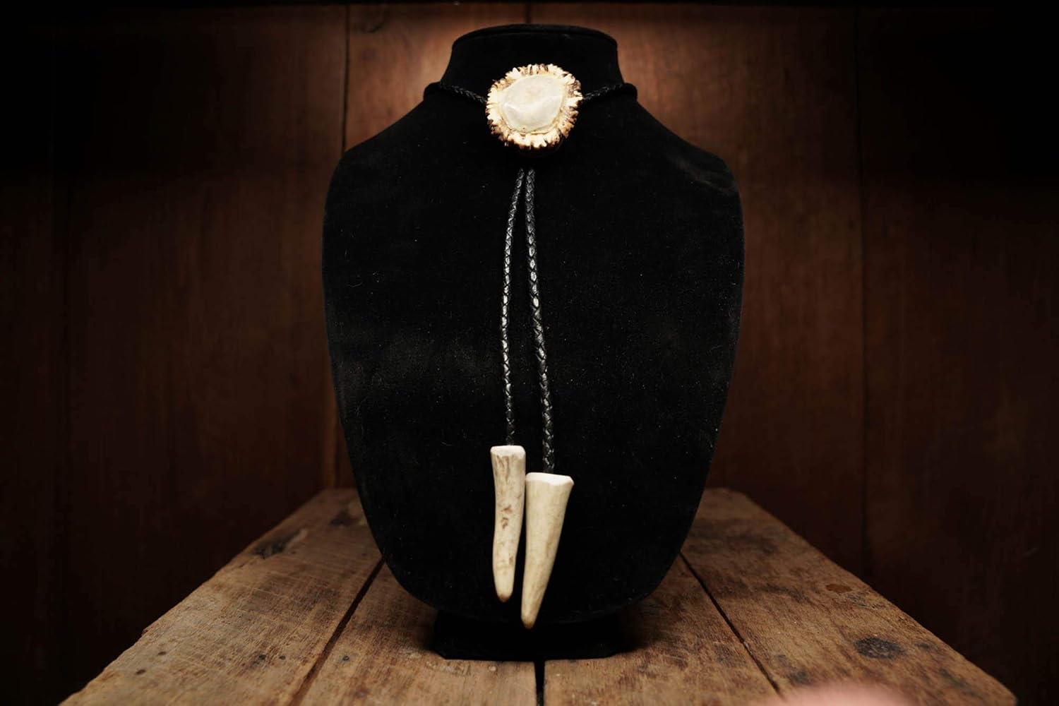 Polished Deer Burr Bolo Tie W/Antler Tips
