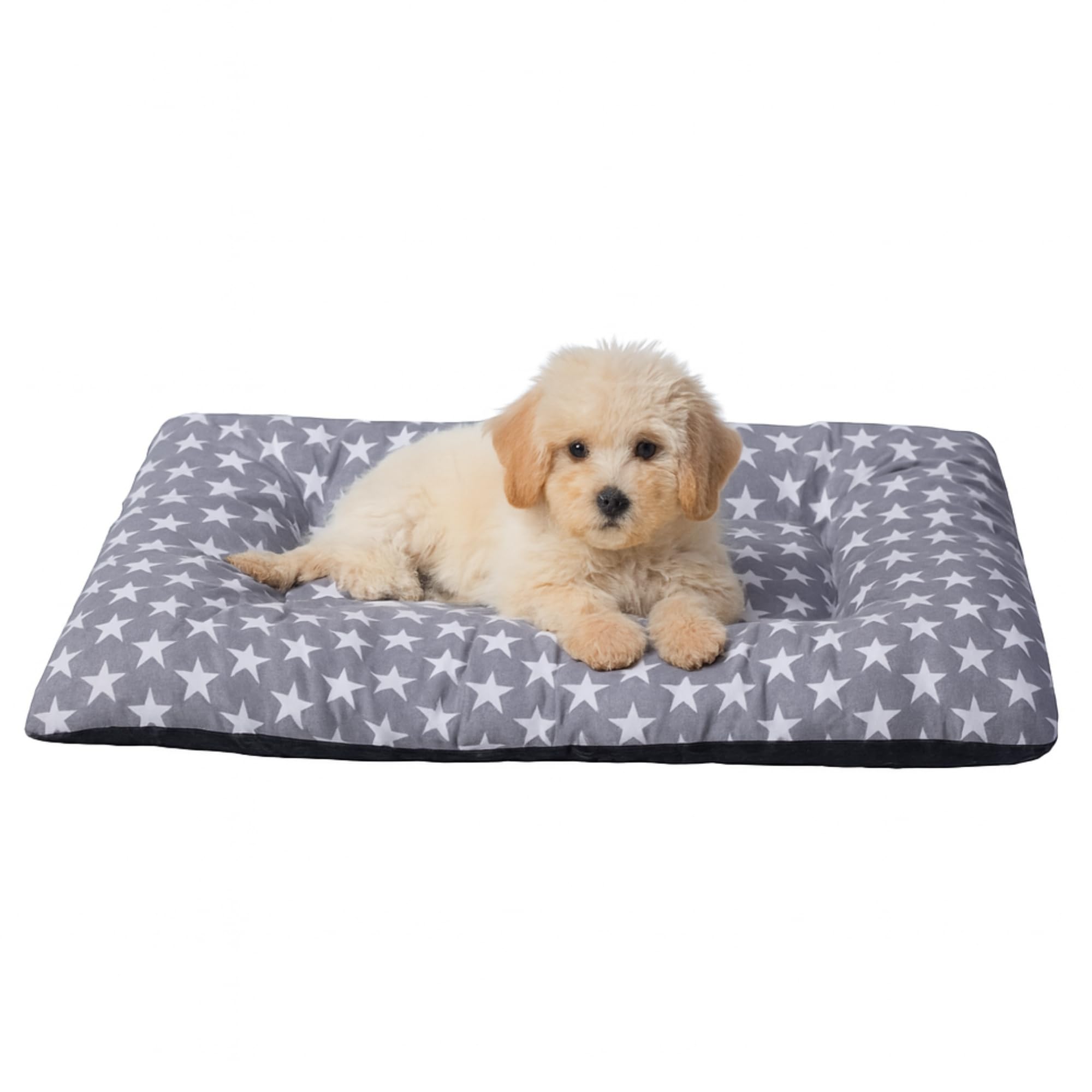 Puppy Dog Bed Small Foam Padded Mat Soft Touch Breathable Fabric Non-Slip Base Cotton Cover Canvas Lightweight Comfortable Washable Easy to Carry 45 x 65 x 5 Stars + Cotes