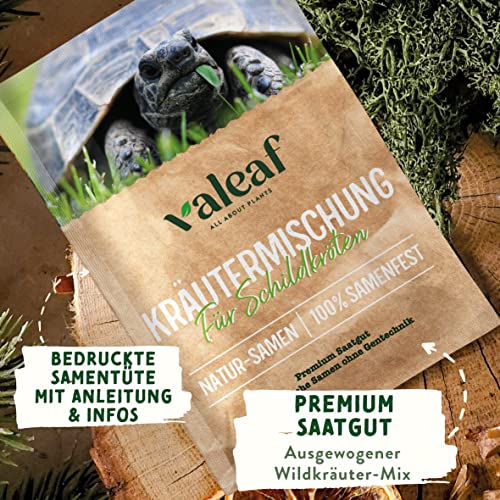 valeaf Schildkröten Samenmischung I Wildkräuter Samen I Schildkrötenfutter Landschildkröten I Schildkröten Pflanzen als Futterpflanzen für Landschildkröten I Wildkräuter Samen Schildkröte (5 Gramm)