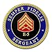 Marine Corps E5 Challenge Coin! USMC SGT Rank Military Coin. Sergeant Challenge Coin! Designed by Marines for Marines - Officially Licensed Product!