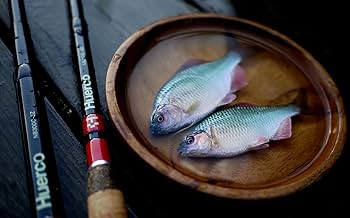 【未使用】フエルコ NB300-3Z Huerco フエルコ NB300-3Z 延べ竿 仕掛け付き - メルカリ