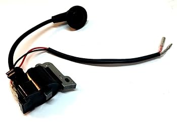 Amazon.com: 40cc 41cc Ignition Coil E-Ton Ixl Rascal Rxl