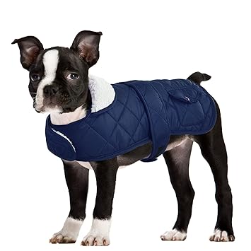 Queenmore Winter Dog Jacket Warm Quilted Fleece Lining Waterproof Coat Hook and Loop Closure, Navy Blue Large