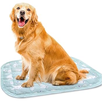ice pad for dogs