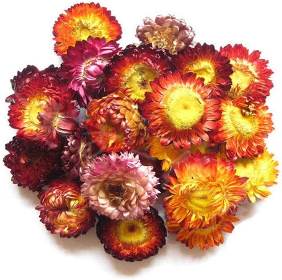 TooGet Dried Flowers & Herbs Accessories - 12 Bags Set for Bath Bombs Scented Candles & Crafts, Style C - Image 4