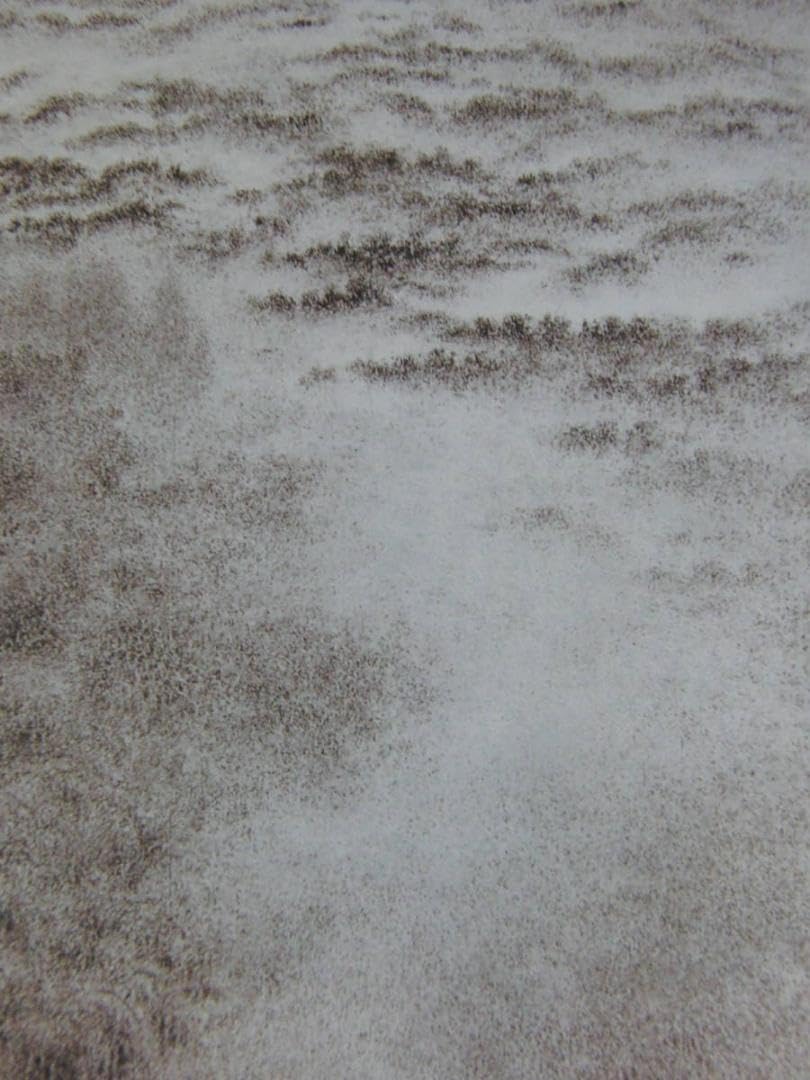 Amazon.co.jp: 高山辰雄、〈雨〉、画集画、高級額額装付、状態良好