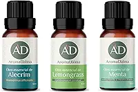 Kit 3 Óleos Essenciais 100% Puros - Alecrim, Lemongrass e Menta - Ideal Para Difusor, Aromaterapia e Cuidados Com o Corpo | Aroma D’alma