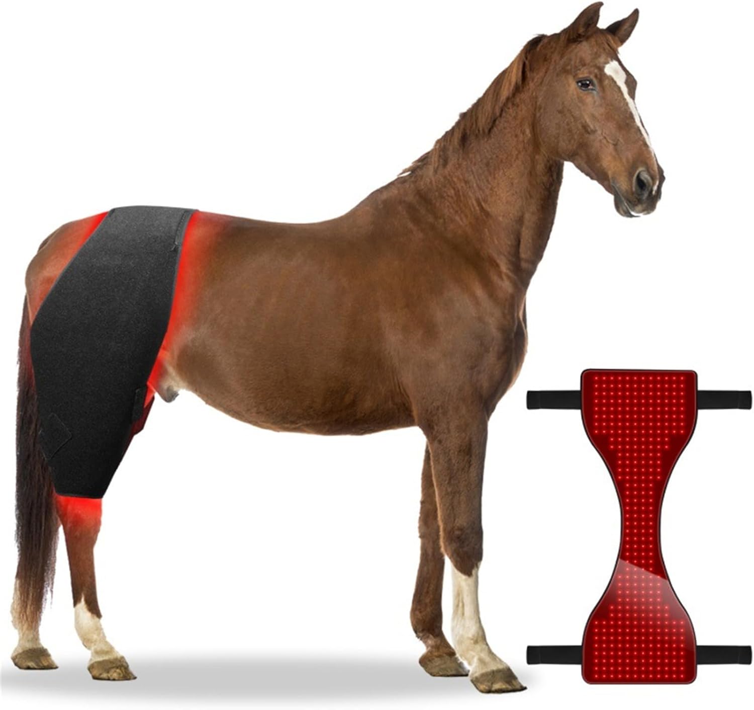 Horse Use Red Light Therapy Pad 660nm 850nm Red Infrared Belt for Horse Buttocks, Abdomen, Back, Front Legs and Hind Legs Muscle Recovery