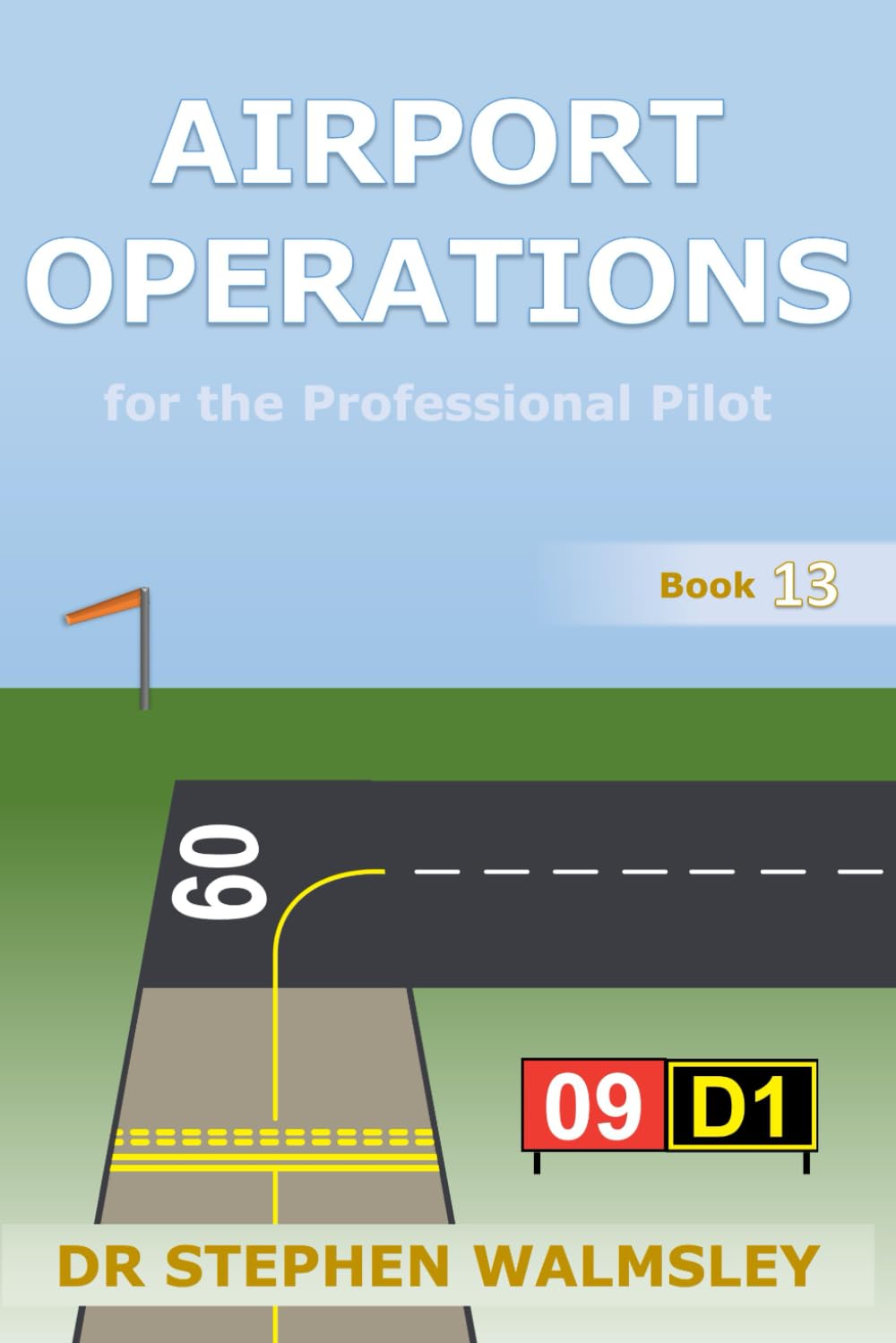 Airport Operations for the Professional Pilot: 1 (Aviation Books Professional Pilot Series)