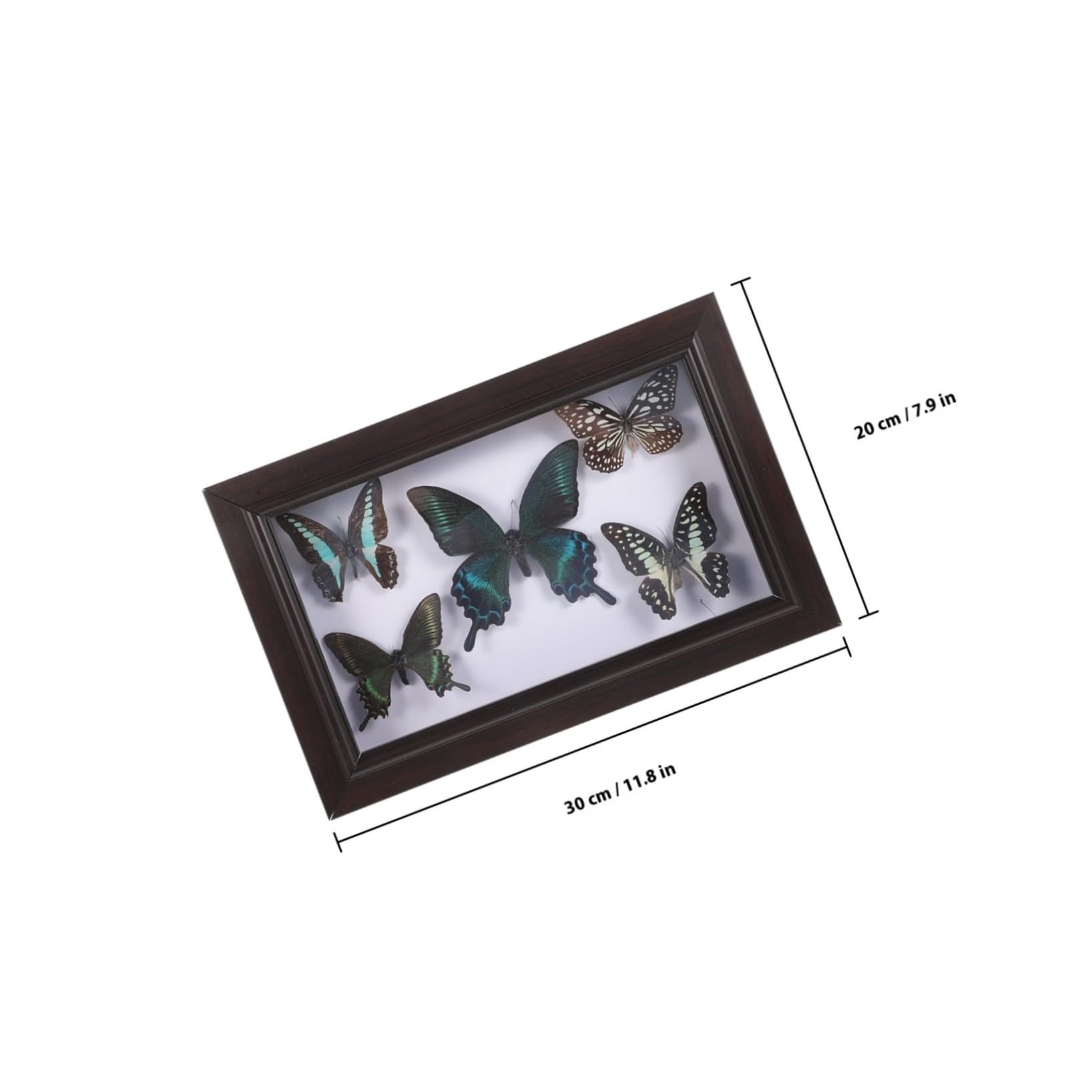 SHINEOFI Marco de Exhibición de Mariposas Disecadas A7 Decoración Mural de Madera Natural Arte Mural Hecho a Mano para Sala de Estar Cuadro Decorativo de Pared para Coleccionistas y