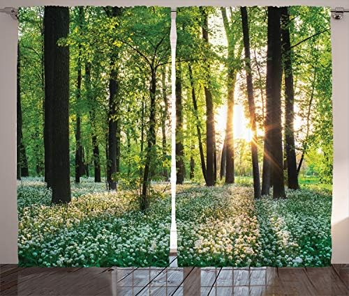 Ambesonne Forest Curtains, Sunny Forest with Wild Garlic Enchanting Wildflowers Blossoms Landscape Scenery, Living Room Bedroom Window Drapes 2 Panel Set, 108" X 84", White Green