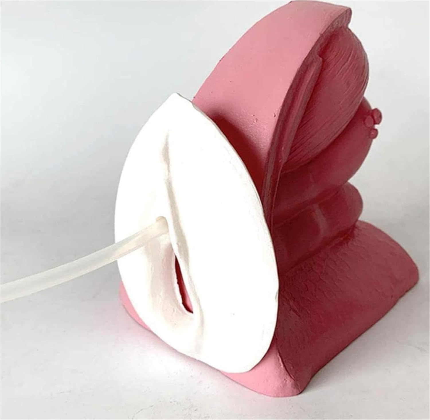 Modello Di Cateterismo Femminile O Maschile, Simulatore Di Modello Di Contraccezione Con Base Antiscivolo, Design Ad Alta Simulazione E Chiara Struttura, Per L'insegnamento Della Pianificazione