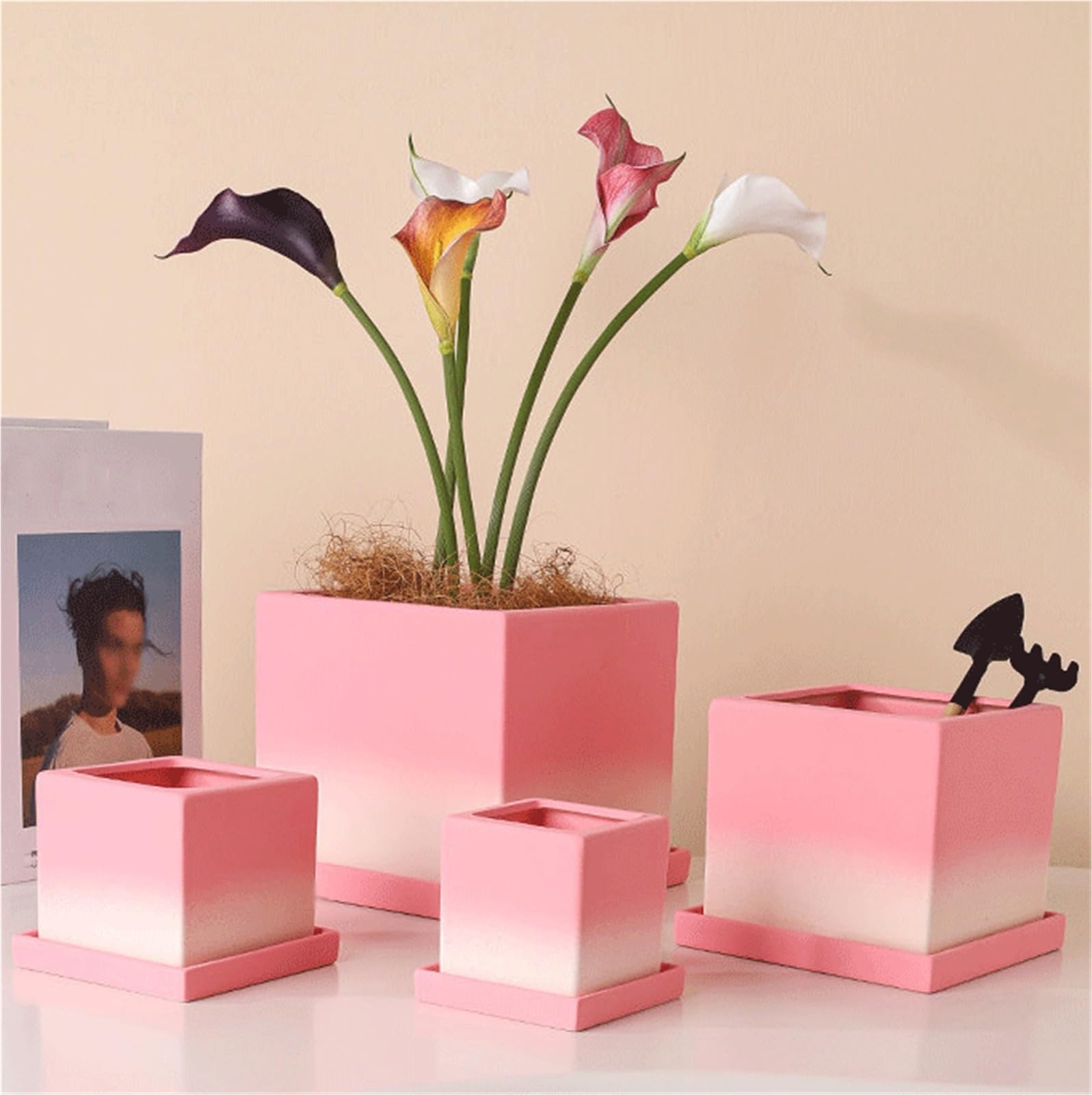 Doniczka Ceramiczna kwadratowa doniczka na storczyki Phalaenopsis, sukulenty i pothos Rośliny domowe, sukulenty, kwiaty(Duży)