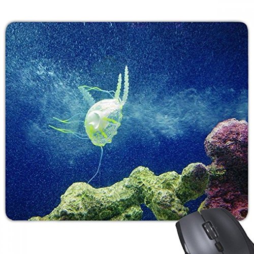 CmNQȊw͎R̎ʐ^ `̃mXbvSpbh̃Q[}EXpbhv[g