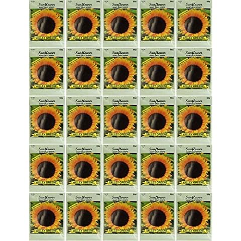 Black Duck Brand Set of 25 Sunflower Giant Grey Flower Seed Packets! Flower Seeds in Bulk - Great for Creating The Garden of Your Dreams! (25, Sunflower - Giant Gray Stripe) Cover
