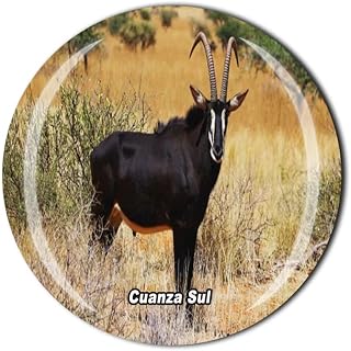 Cuanza Sul Angola Fridge Magnet Crystal Tourist Souvenir Gift Collection Refrigerator Magnetic Sticker