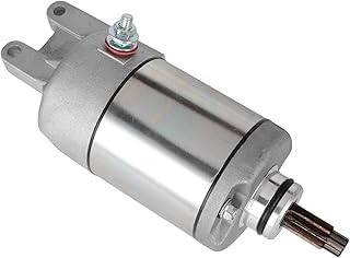 ATV Engine Starter Motor Compatible With  31200-HC4-003 31200-HC4-013 31200-HC4-023 31200-HC4-033 TRX300 FW FourTrax BigRed 300