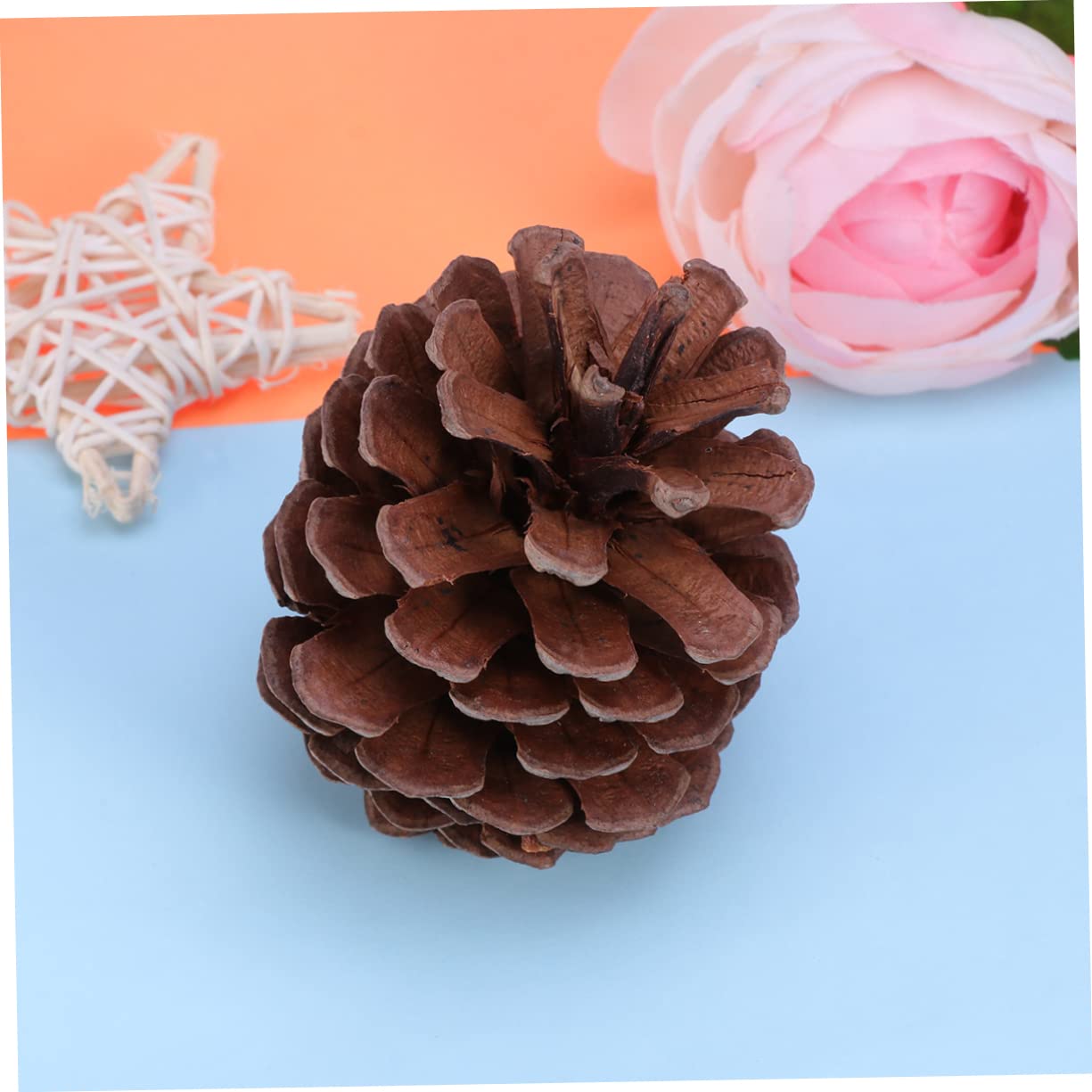50stücke Natürliche Für Weihnachtsbaum-Dekoration -Dekoration Winterdeko Tischdeko Bastelmaterial Haus Und