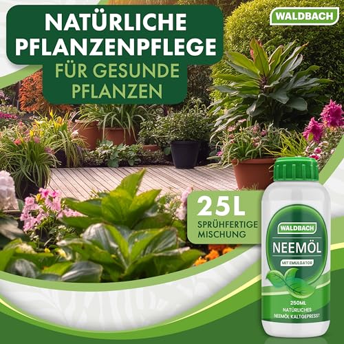 WALDBACH® Neemöl mit Emulgator [250ml] - Natürliches Neemöl für Pflanzen mit Sprühflasche und Messbecher - 25 Liter sprühfertige Mischung - Effektive Pflanzenpflege für Garten- & Zimmerpflanzen