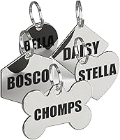 Vista 1 de Etiquetas de identificación de acero inoxidable Dr. Fremont's para perros grabadas, personalizadas para collar de gato o perro, fuente audaz