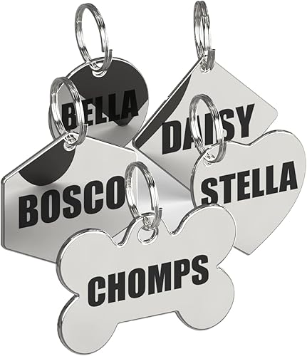 Dr. Fremont's Etiquetas de identificación de acero inoxidable grabadas para mascotas personalizadas para collar de gato o perro, fuente audaz para