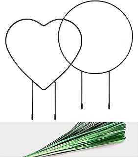 TELEPEPE Garden Metal Trellis for Climbing Plants, Small Support Trellis for Indoor Potted Plants, Vines Hoya House Plants Ivy Flowers, Shaped Holder 2 Pack(Heart+Round)