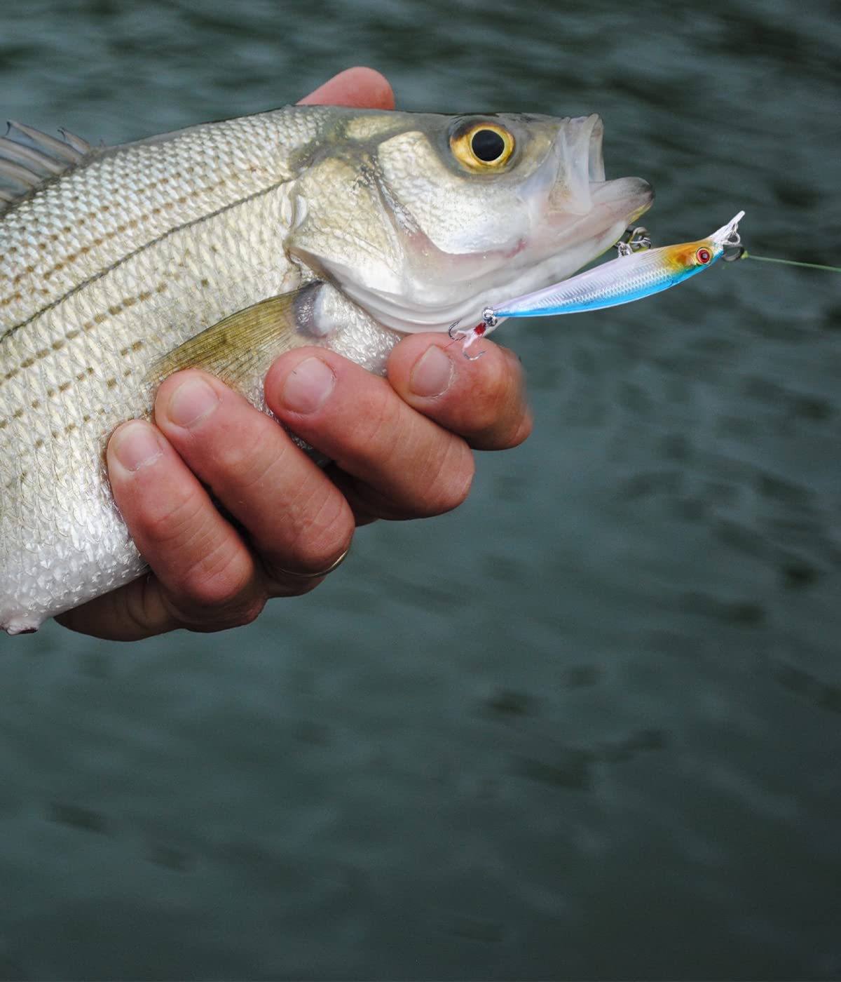 Hookup Baits Jig Speciale Per Spigola Bianca - 5/8 Oz 4 1/4'' - Confezione 2 - Rosso/Menta