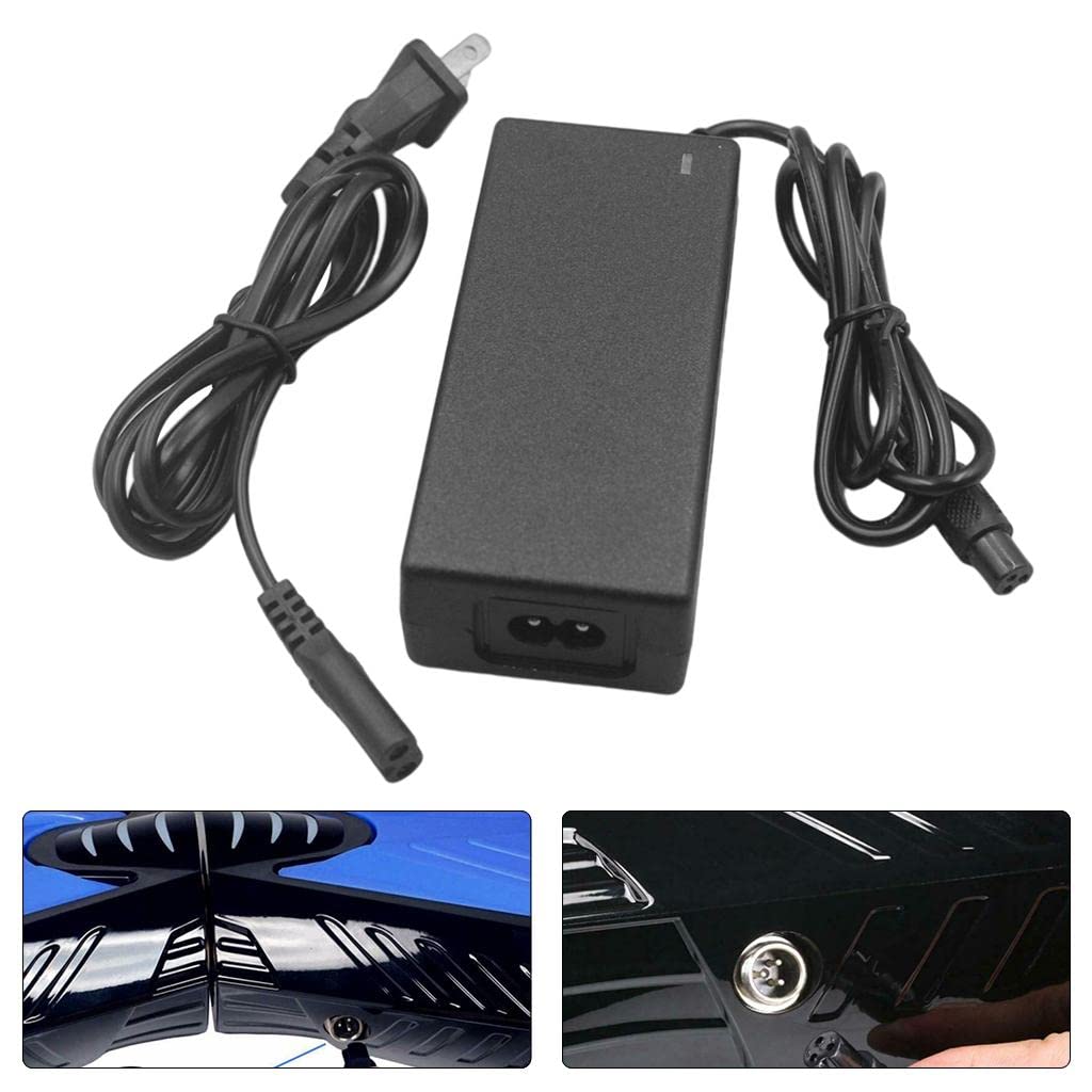 じゅでんき Amazon | 4.2V バッテリー充電器 バッテリーチャージャ 充電式