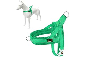 Plutus Pet No Pull Dog Harness: Your Dog's Summer Cool-Down Essential
