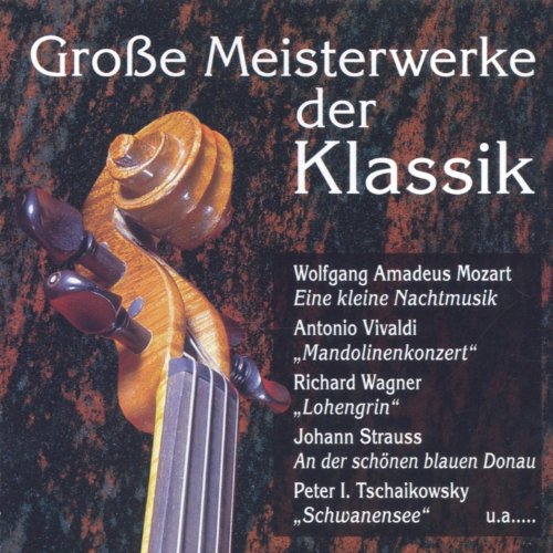 Grosse Meisterwerke der Klassik von VARIOUS ARTISTS bei Amazon Music ...