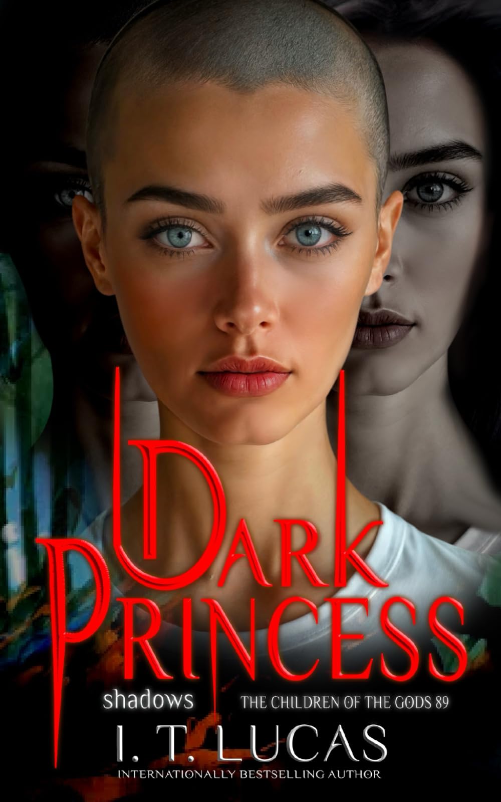 Dark Princess: Shadows (The Children Of The Gods Paranormal Romance)