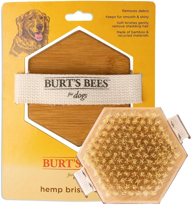 Burt's Bees for Pets Palm Brush with Hemp Bristles Best Ergonomic Dog Brush To Groom Large Dogs Easy to Hold Dog Brush Handle Reduces Stress On Your Wrist Ideal for Daily Grooming (Pack of 24)