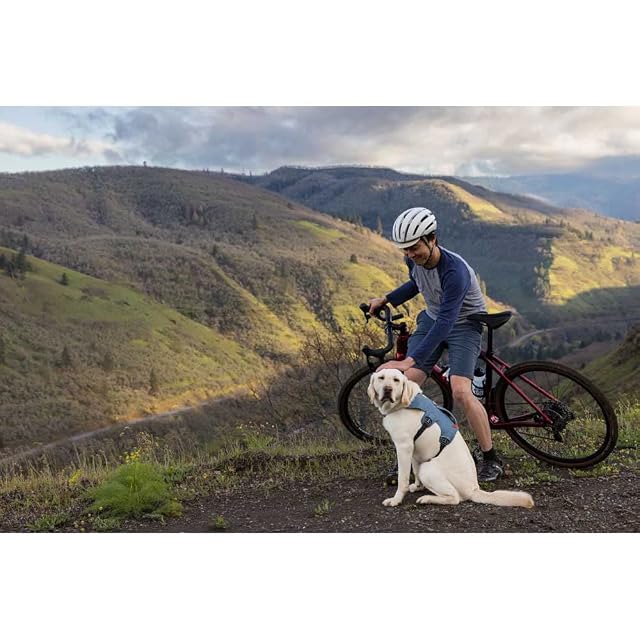 Foto 2 de 8 de RUFFWEAR Web Master, Arnés Multiusos para Perro con asa Seguro y Ajustable, arnés antiescape