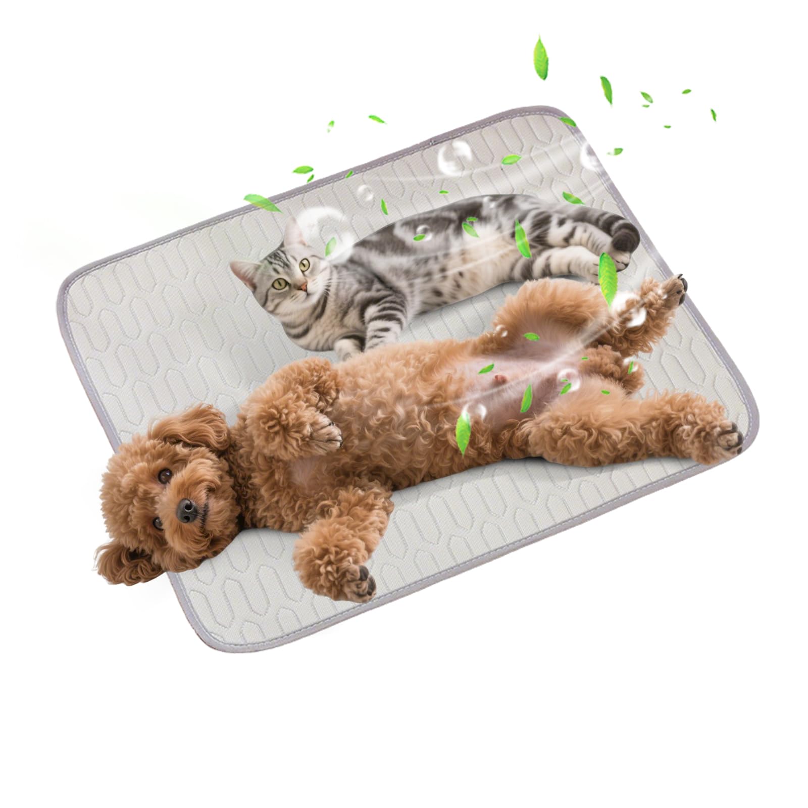 PETCUTE Cooling Mat for Dogs Cats, 2025 New Dog Cooling Gel Pad, Non-Slip, Portable and Washable Pet Cool Mat,Heat Relief,No Need to Refrigerate or Freeze, Ideal for Indoors Outdoors,M — image 1