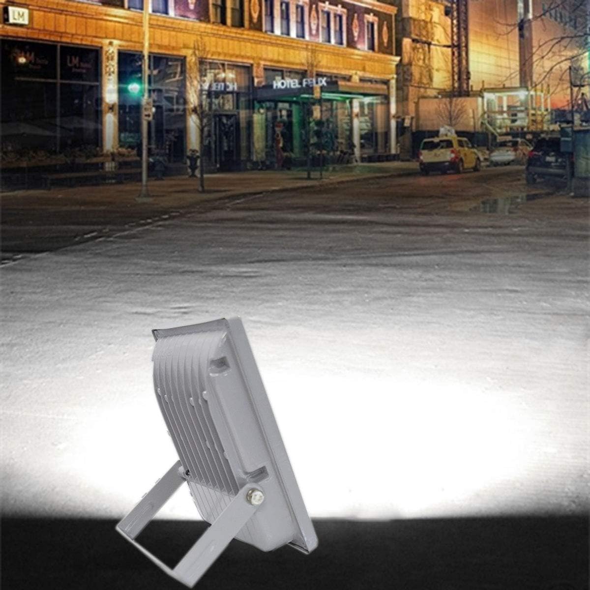 12 Volt Flood Light Bowfishing Lights 30W Low Voltage Flood Lights Outdoor IP66 Waterproof (White Light 2Pack)